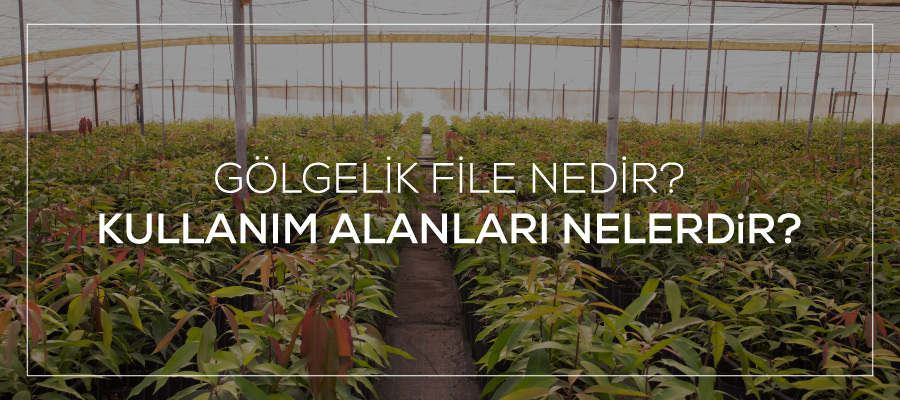 Gölgelik File